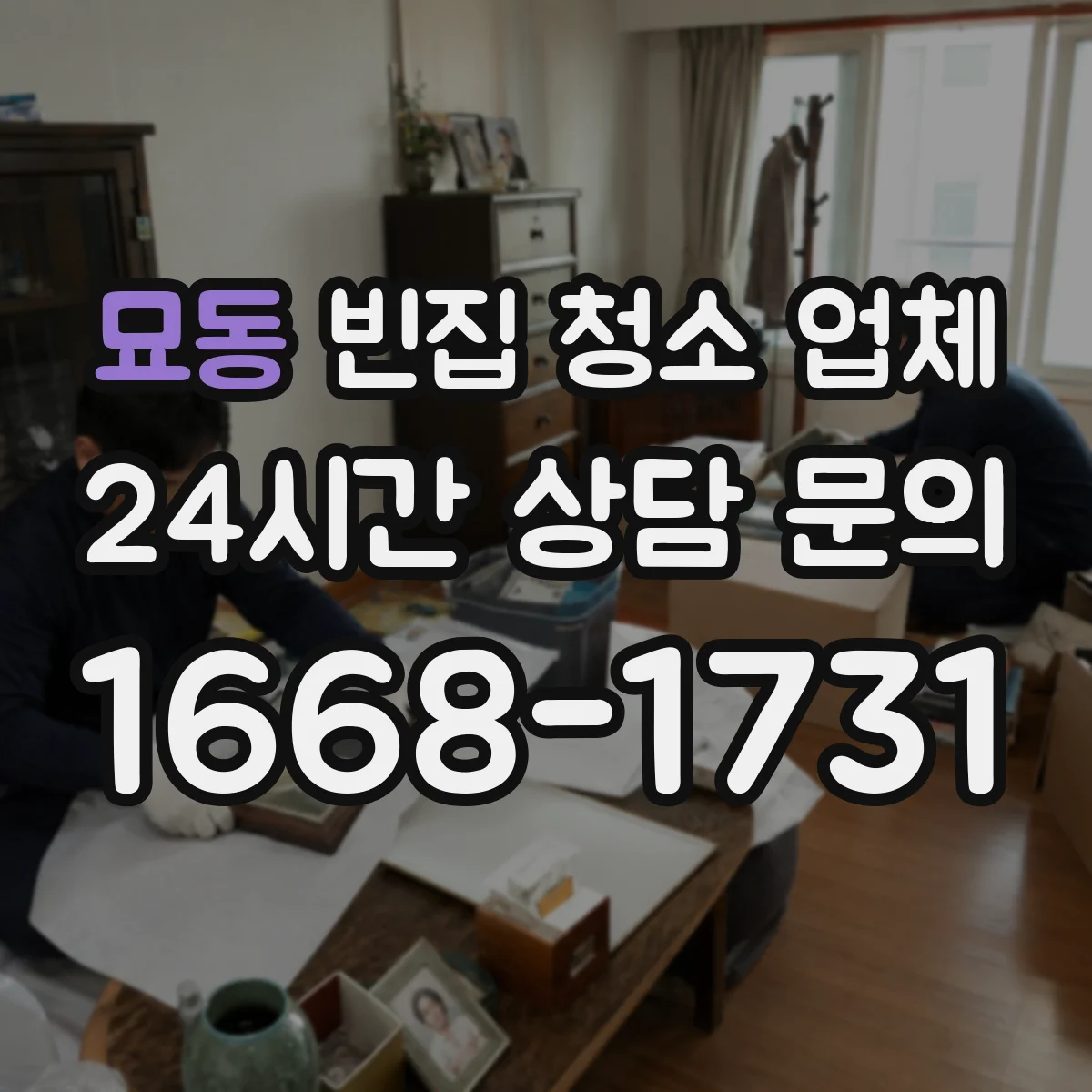 묘동 빈집 청소 업체