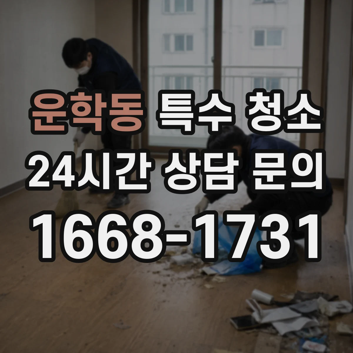 운학동 특수 청소