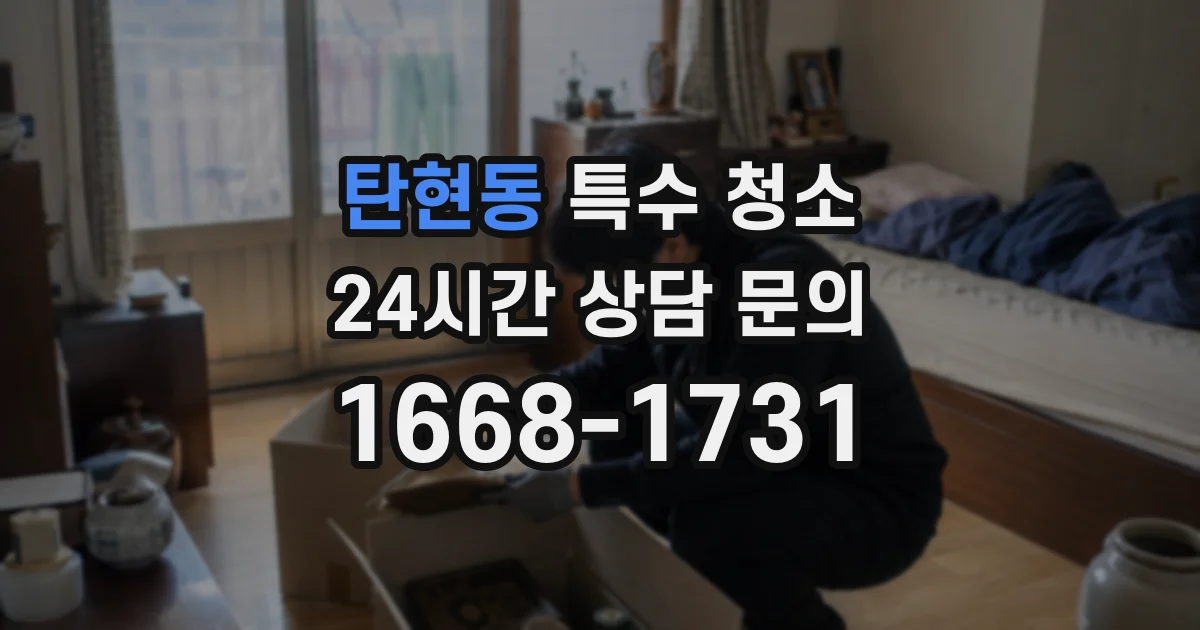 탄현동 특수 청소