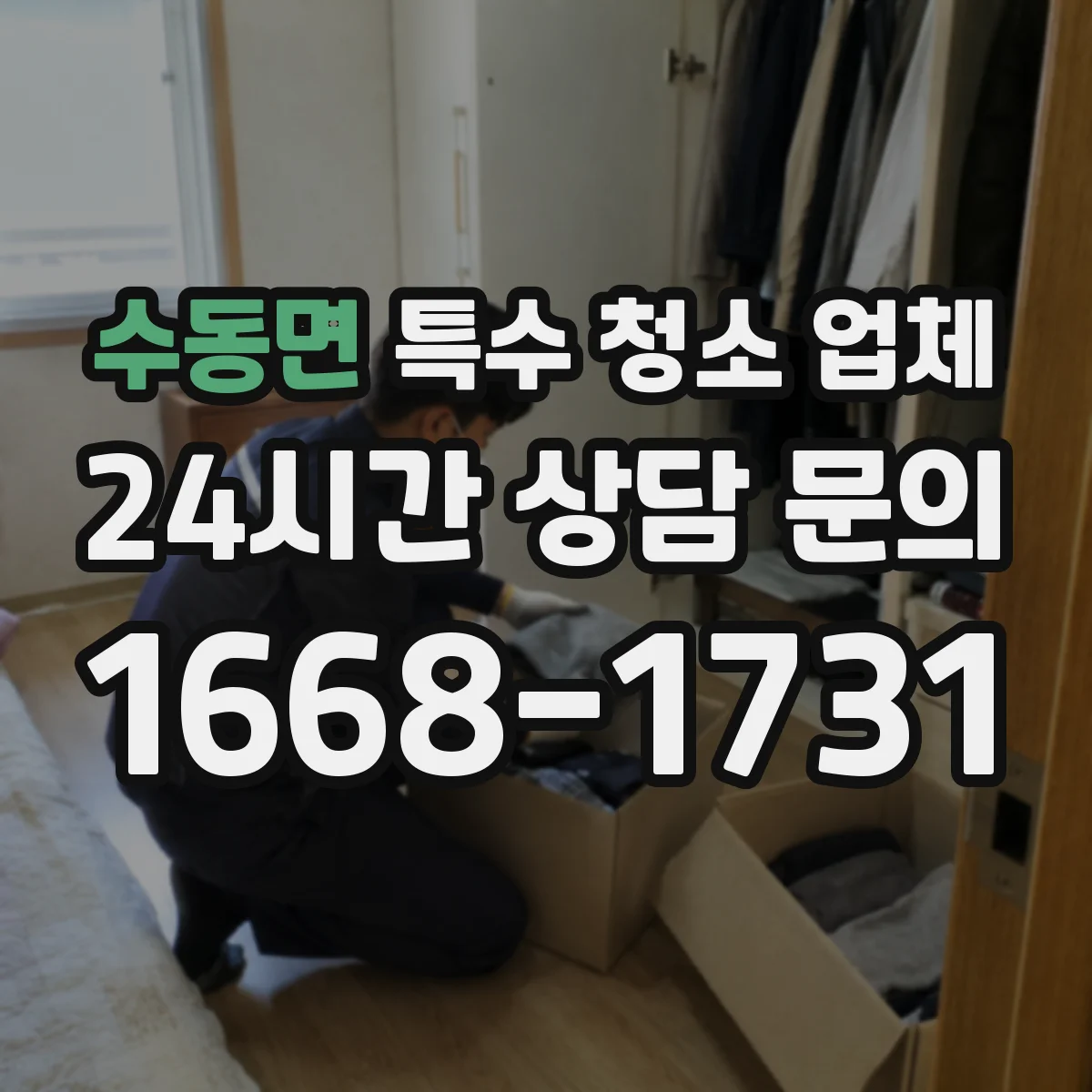 수동면 특수 청소 업체