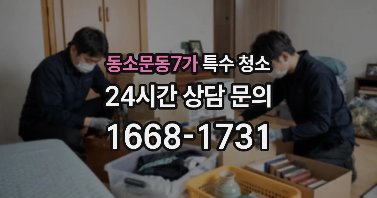 동소문동7가 특수 청소