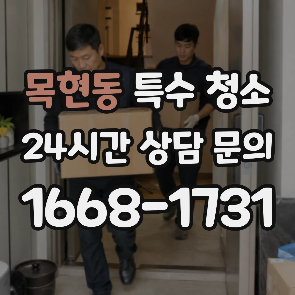 목현동 특수 청소