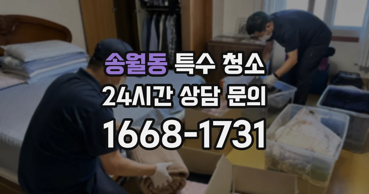 송월동 특수 청소