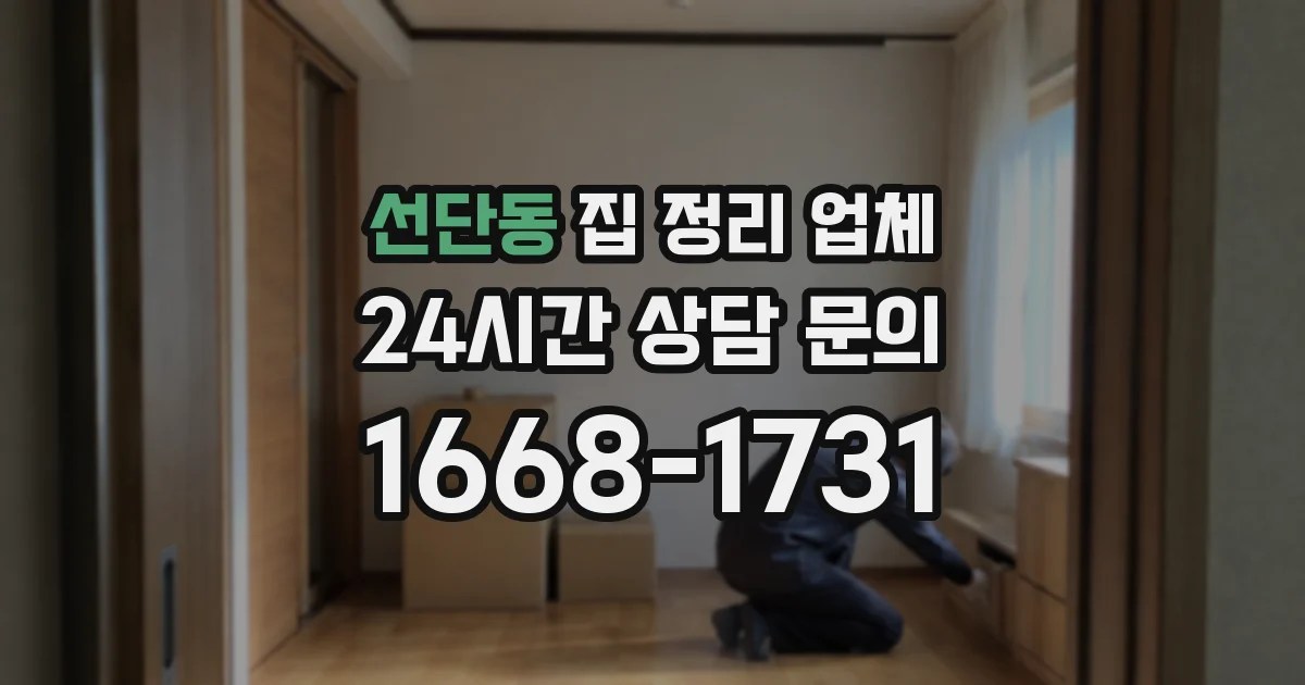선단동 집 정리 업체