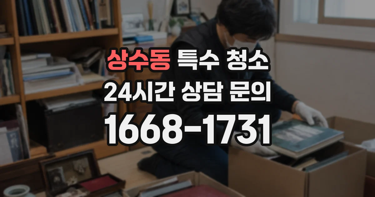 상수동 특수 청소