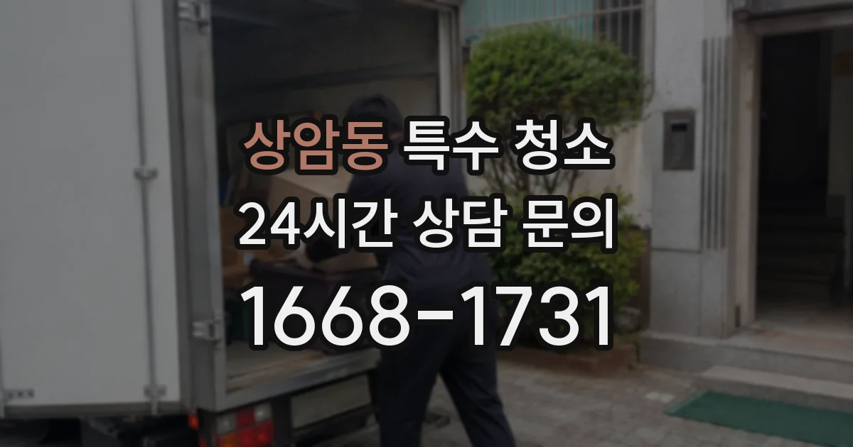 상암동 특수 청소