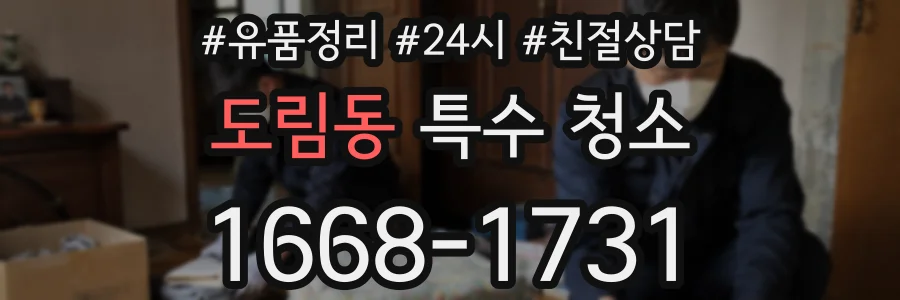 도림동 특수 청소