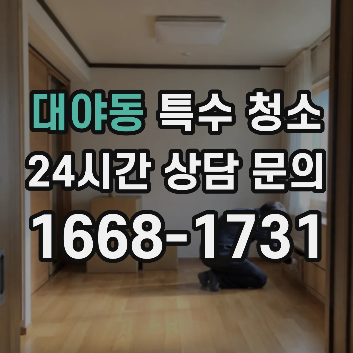 대야동 특수 청소