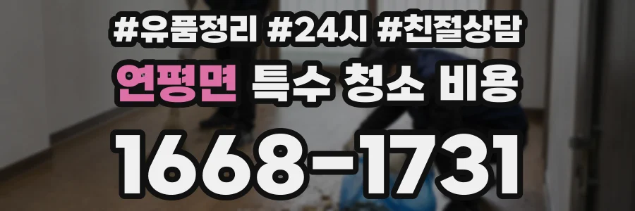 연평면 특수 청소 비용
