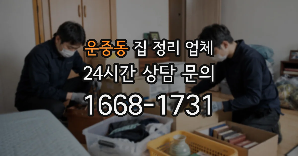운중동 집 정리 업체