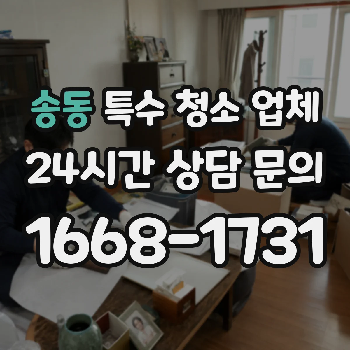 송동 특수 청소 업체