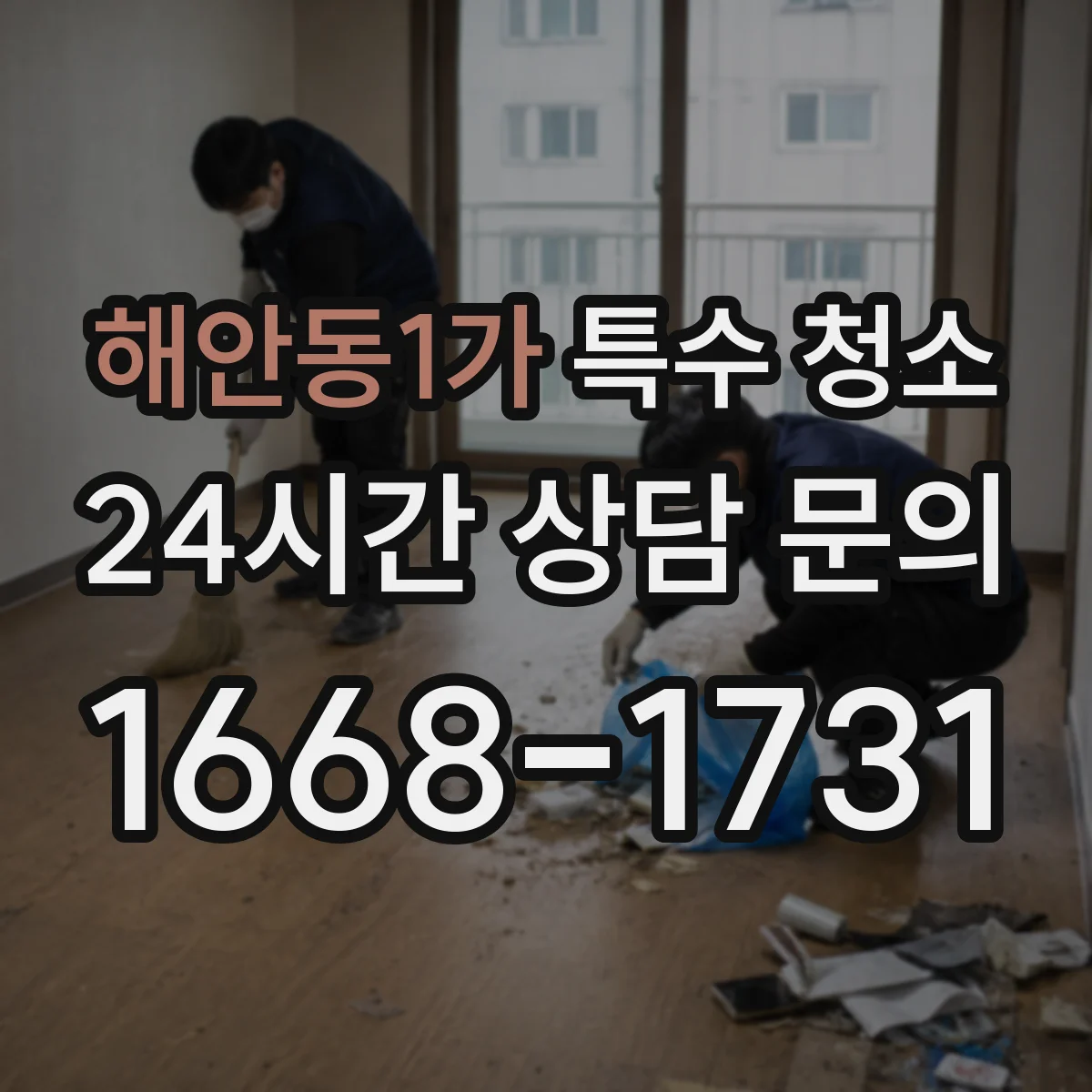 해안동1가 특수 청소