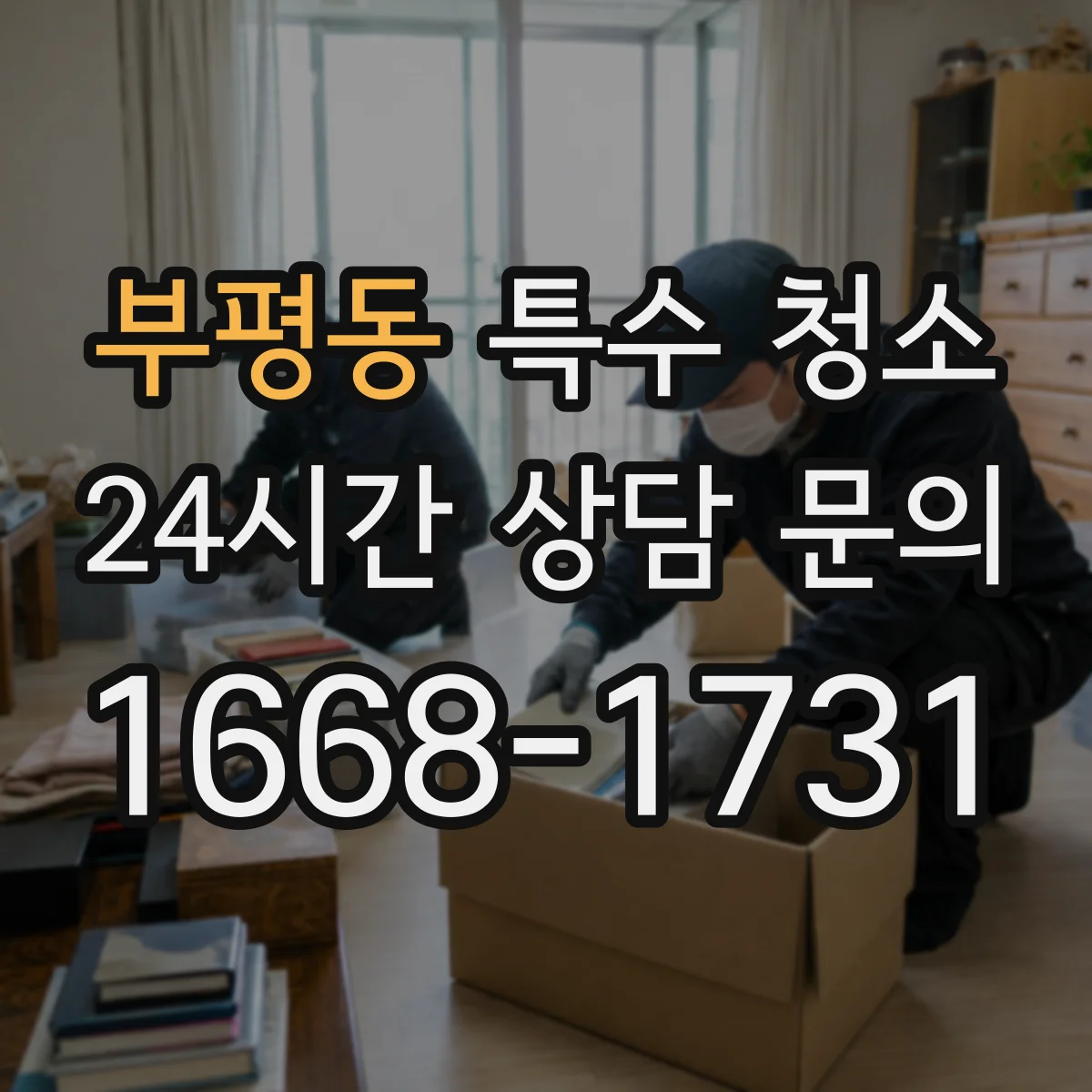 부평동 특수 청소