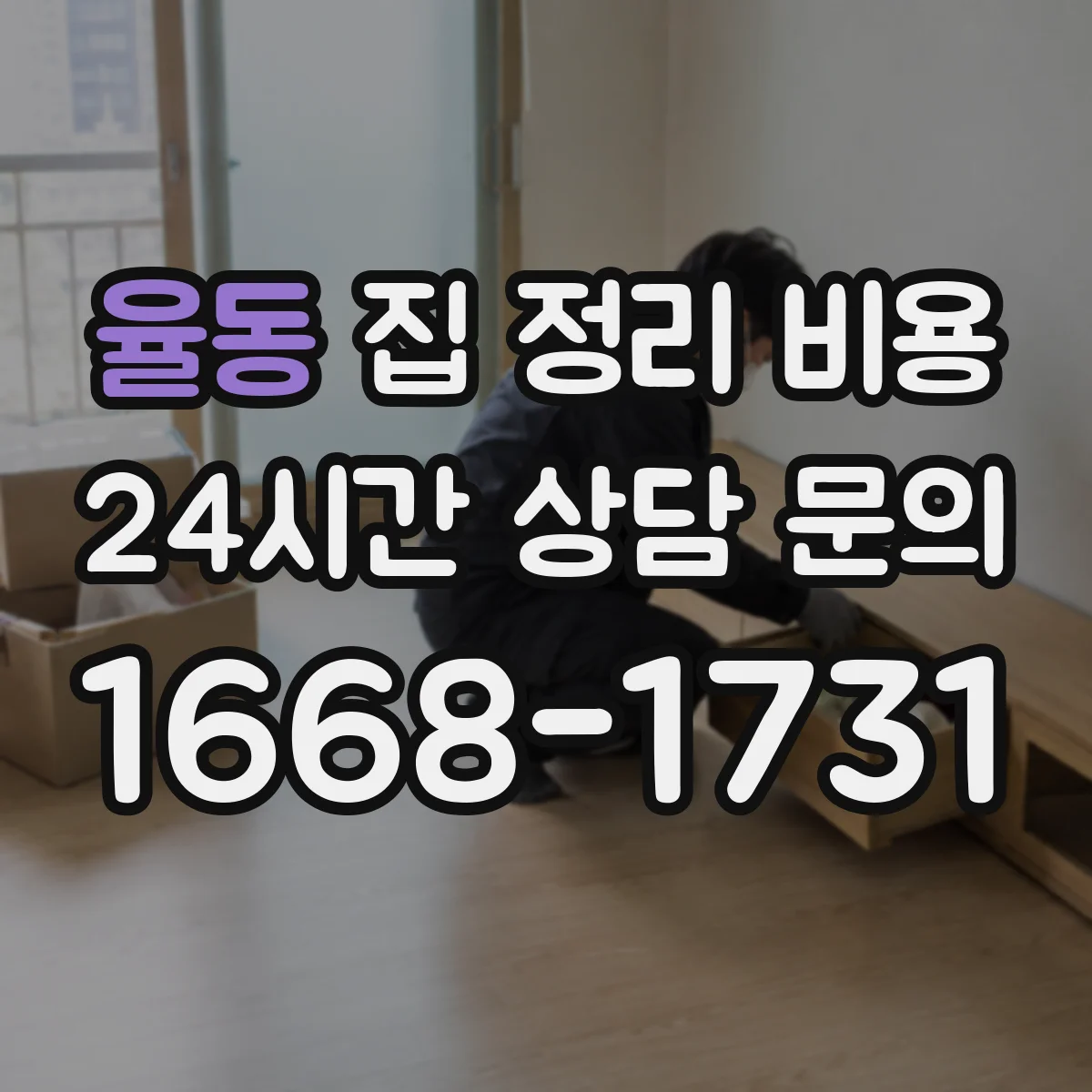율동 집 정리 비용