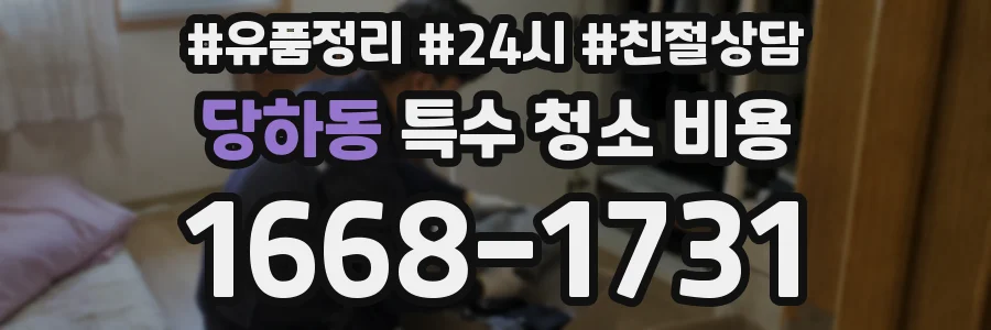 당하동 특수 청소 비용