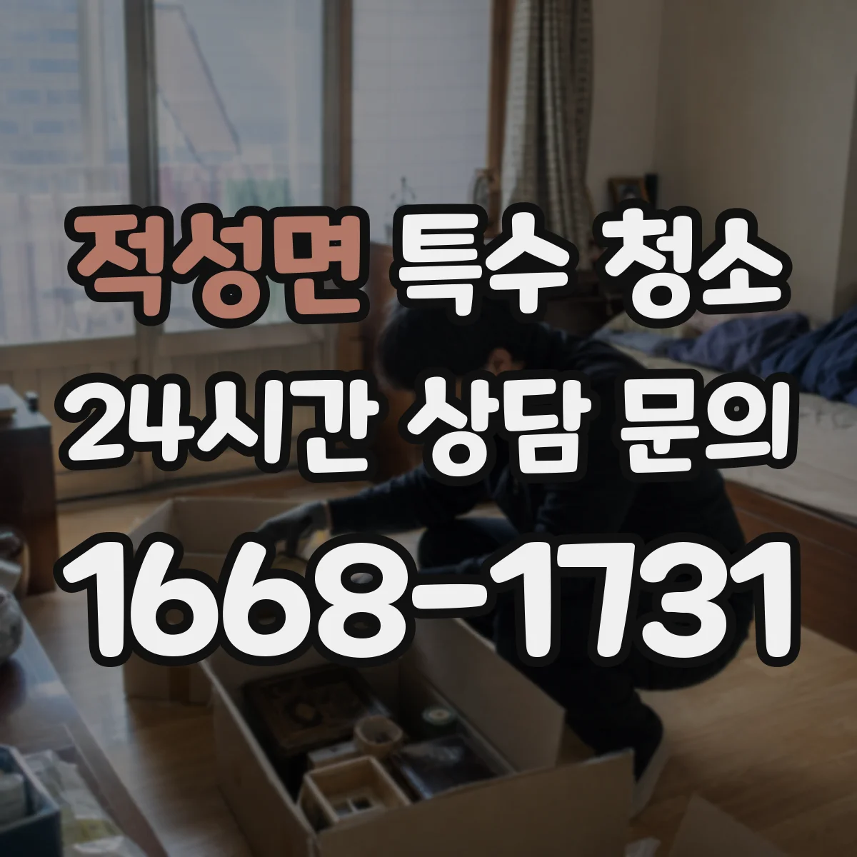 적성면 특수 청소