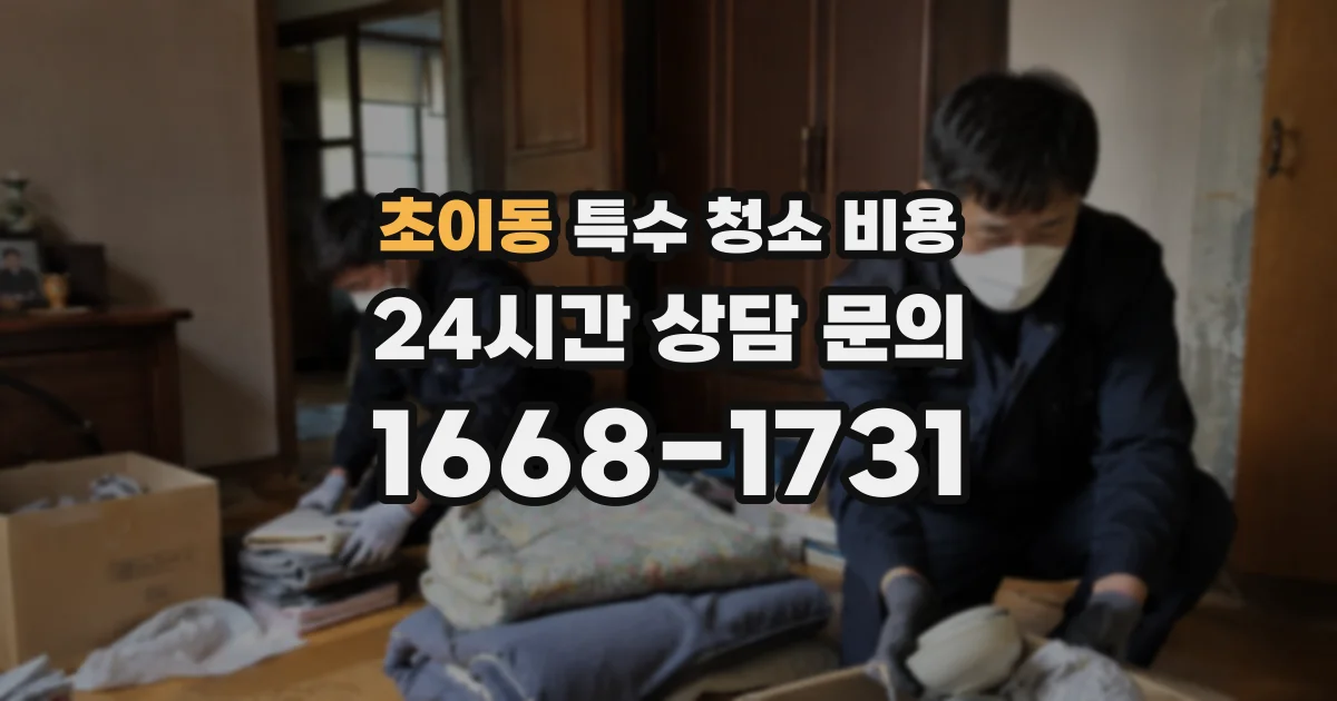 초이동 특수 청소 비용