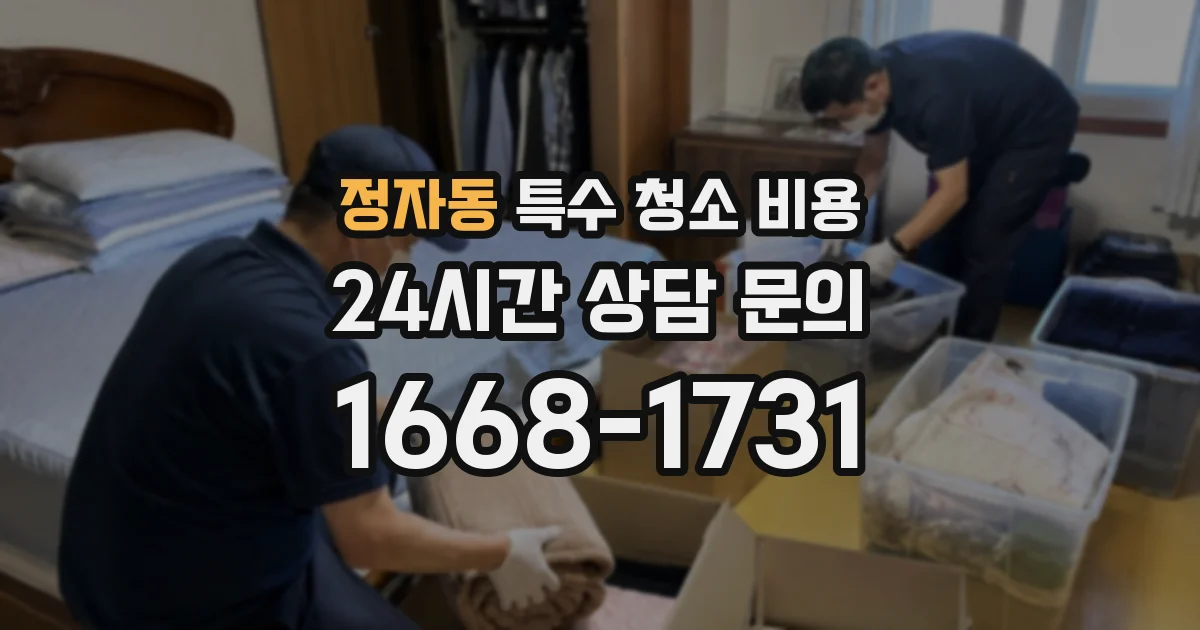 정자동 특수 청소 비용