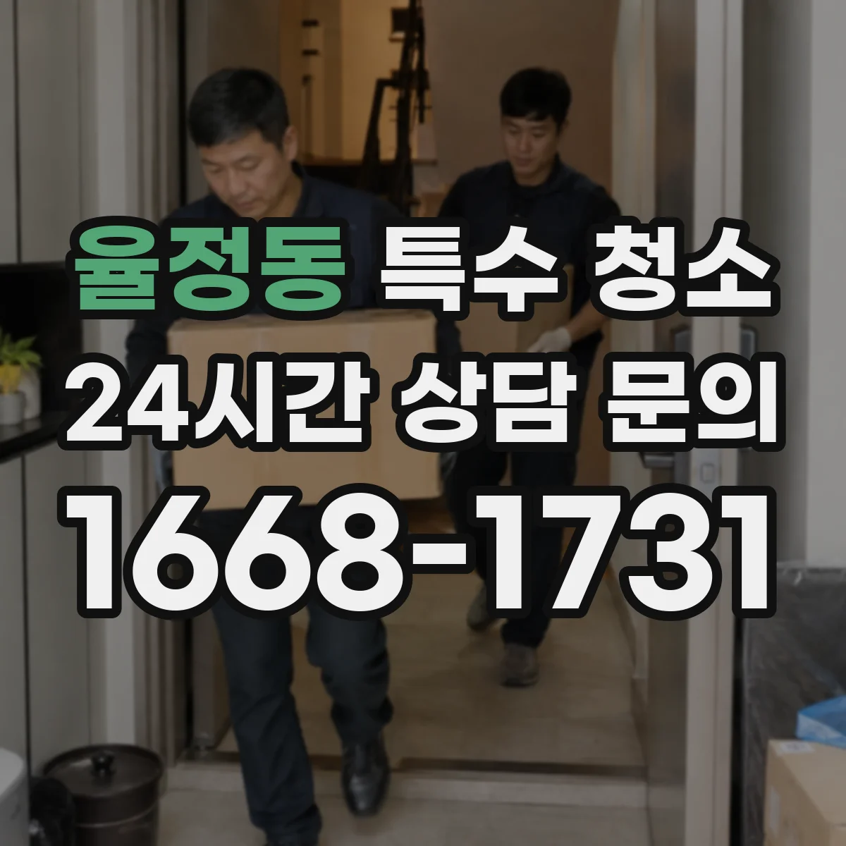 율정동 특수 청소