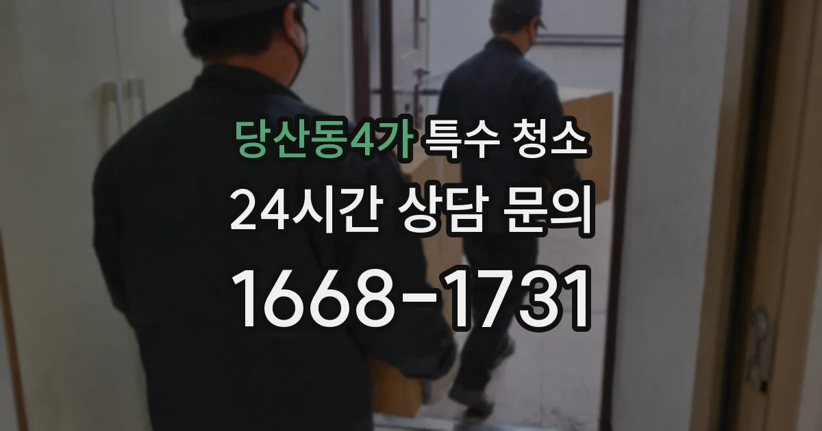 당산동4가 특수 청소