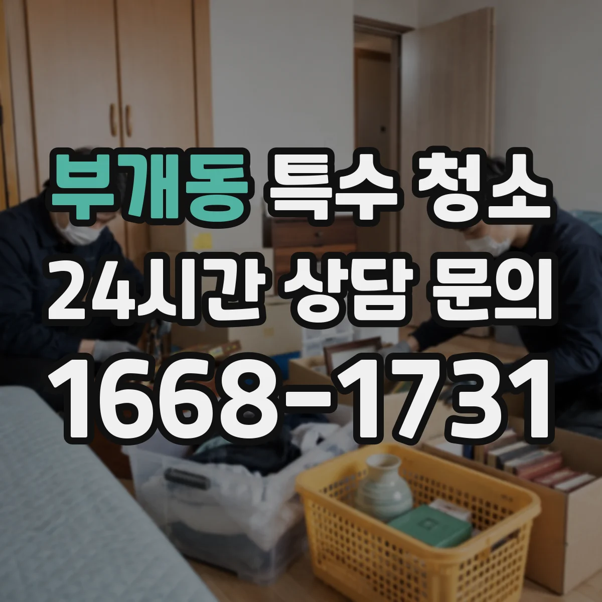 부개동 특수 청소
