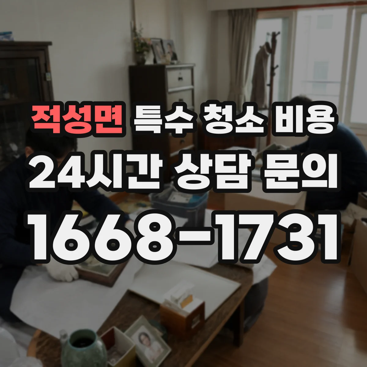 적성면 특수 청소 비용