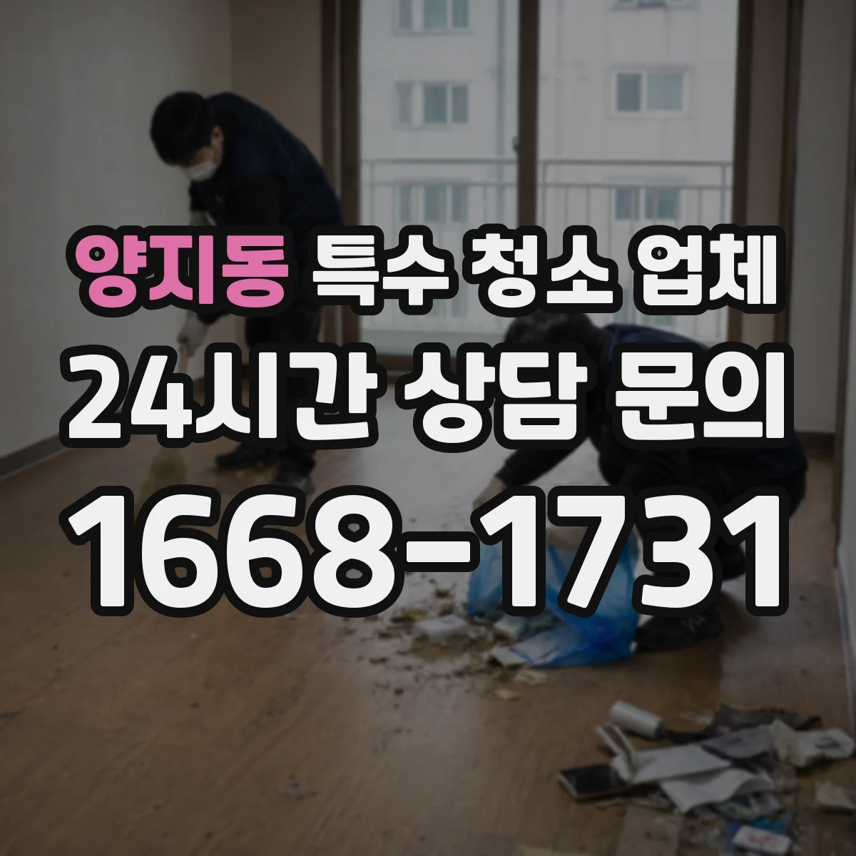 양지동 특수 청소 업체