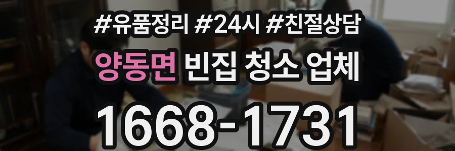 양동면 빈집 청소 업체