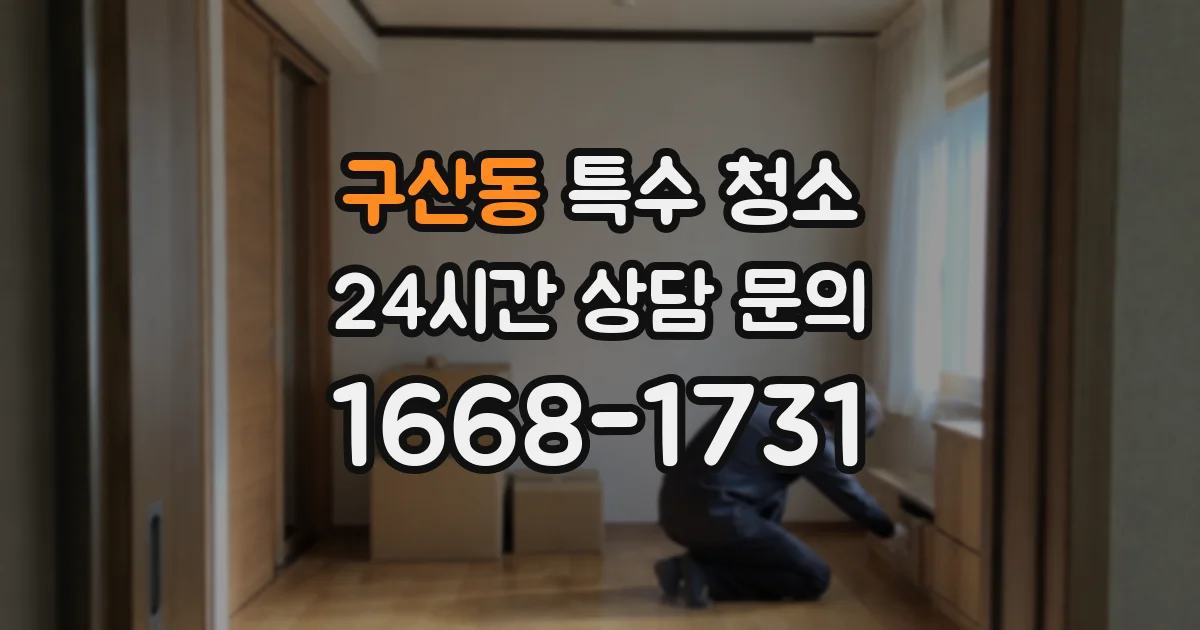 구산동 특수 청소