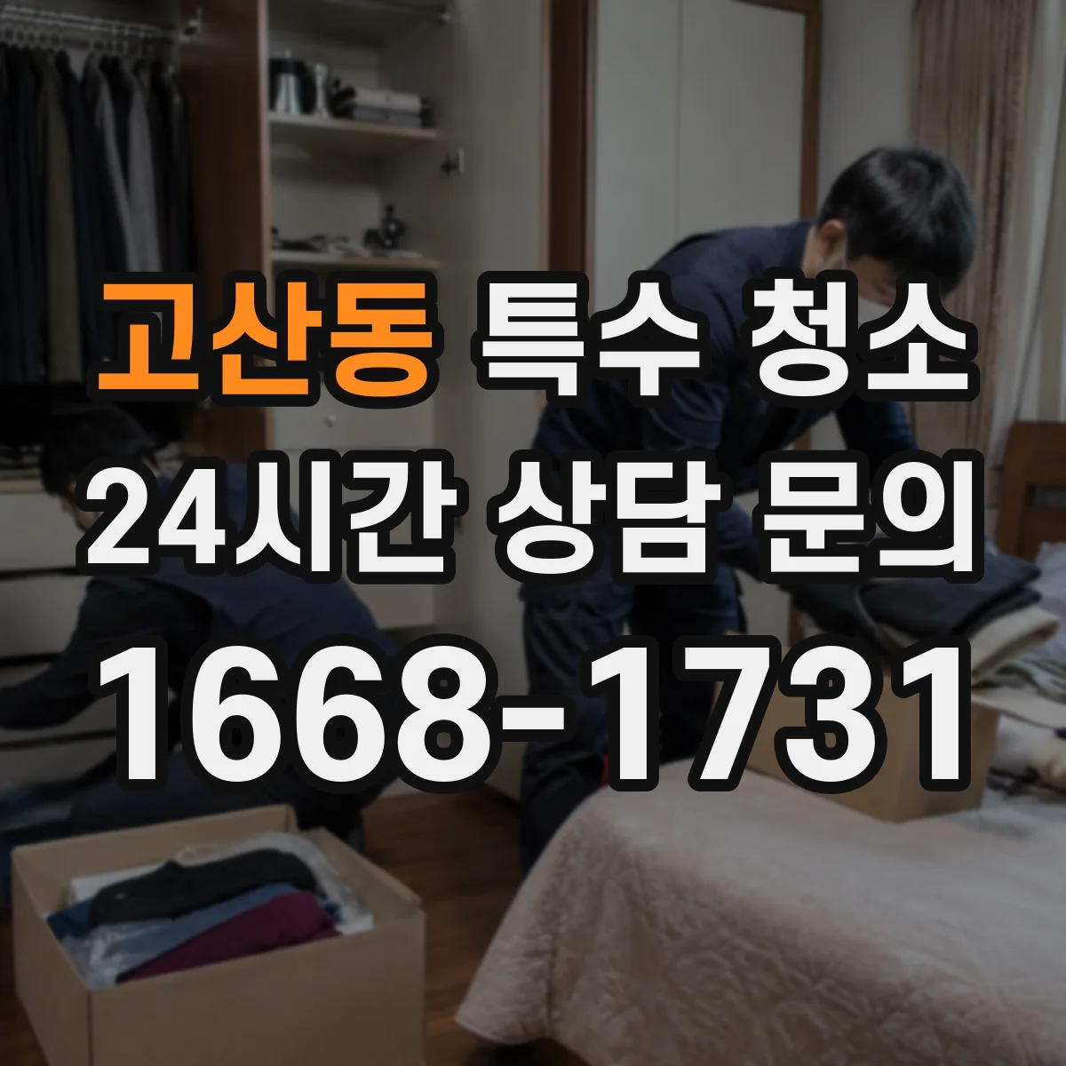 고산동 특수 청소