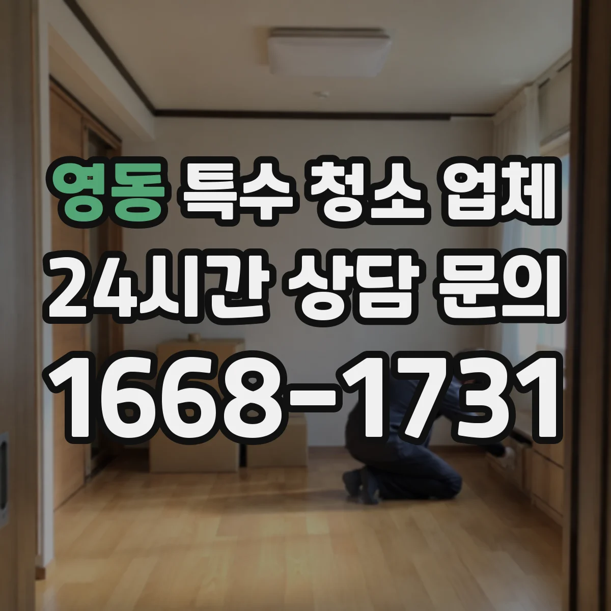 영동 특수 청소 업체