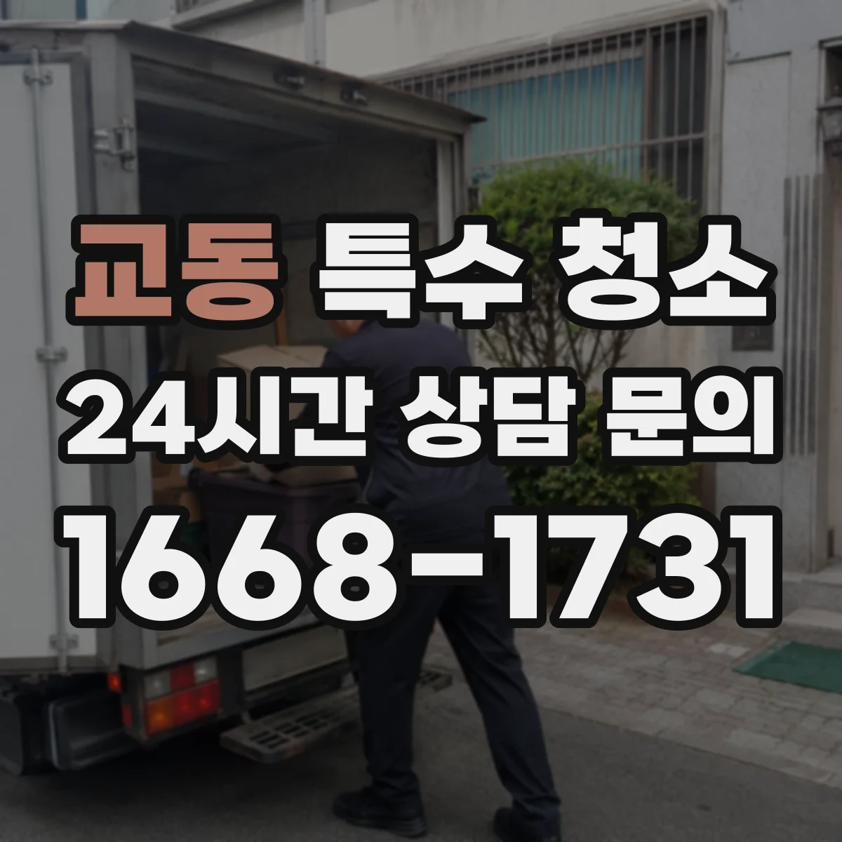 교동 특수 청소