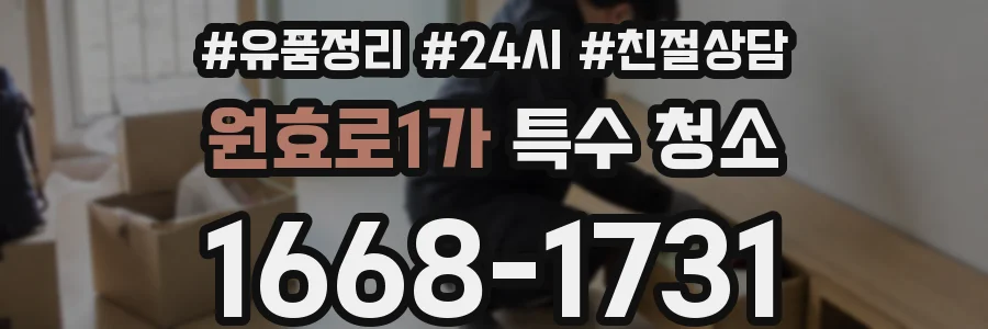 원효로1가 특수 청소