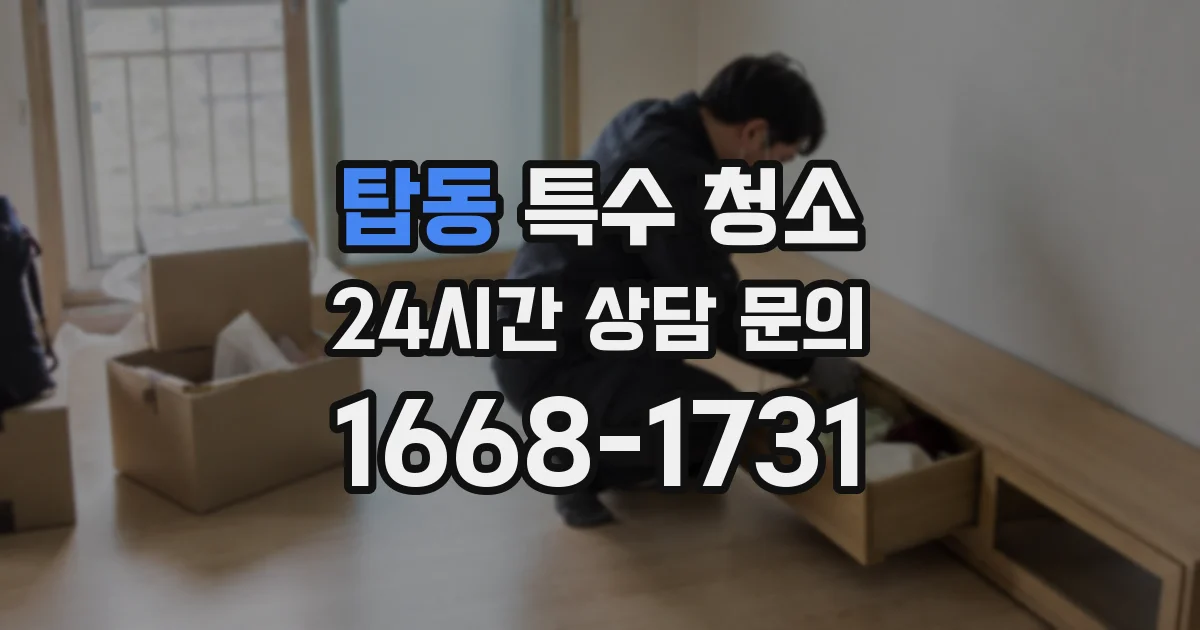 탑동 특수 청소