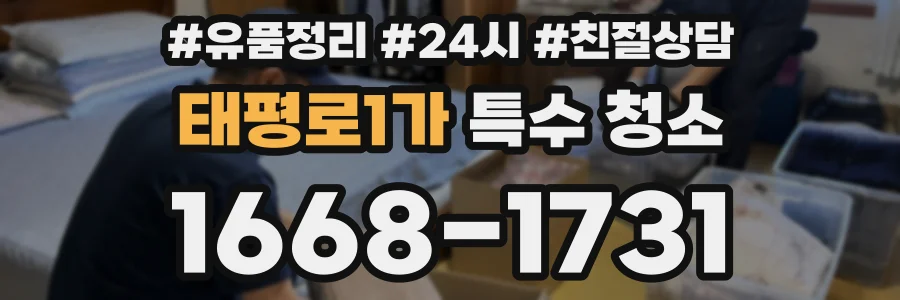 태평로1가 특수 청소
