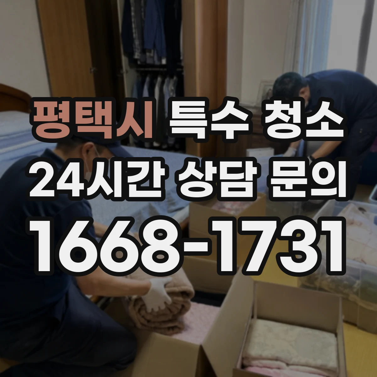 평택시 특수 청소 곰팡이 재발을 고려한 원인 파악과 재처리 계획
