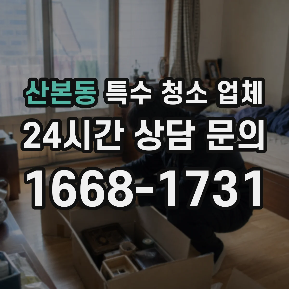 산본동 특수 청소 업체