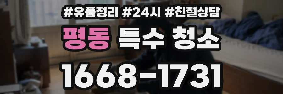 평동 특수 청소