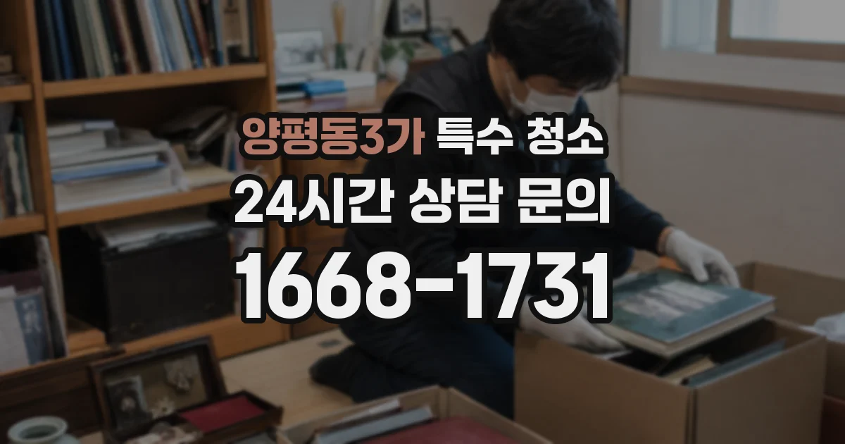 양평동3가 특수 청소