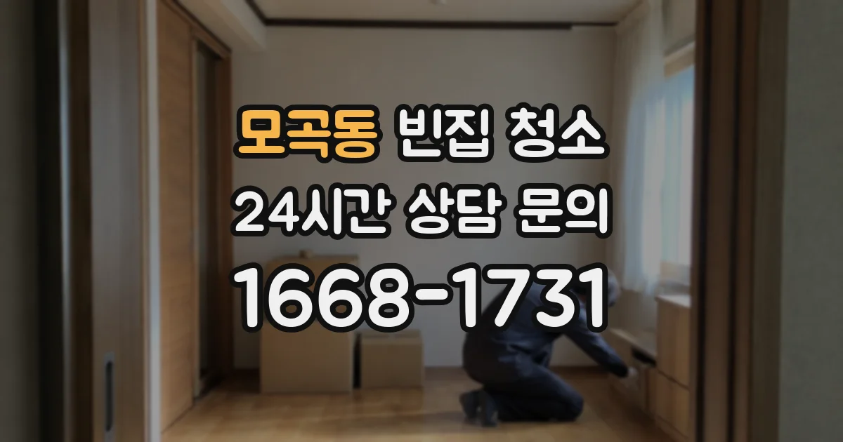 모곡동 빈집 청소