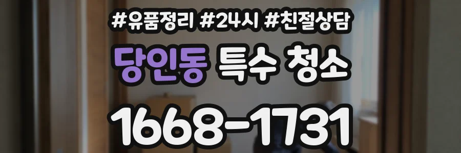 당인동 특수 청소