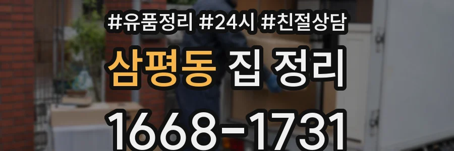 삼평동 집 정리