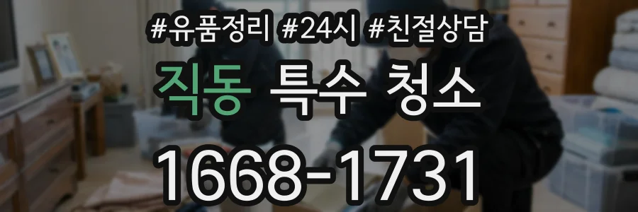 직동 특수 청소