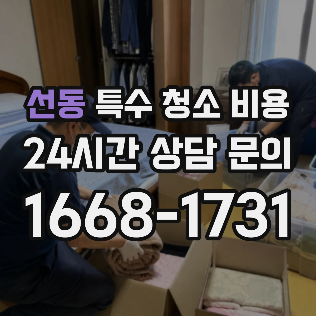 선동 특수 청소 비용