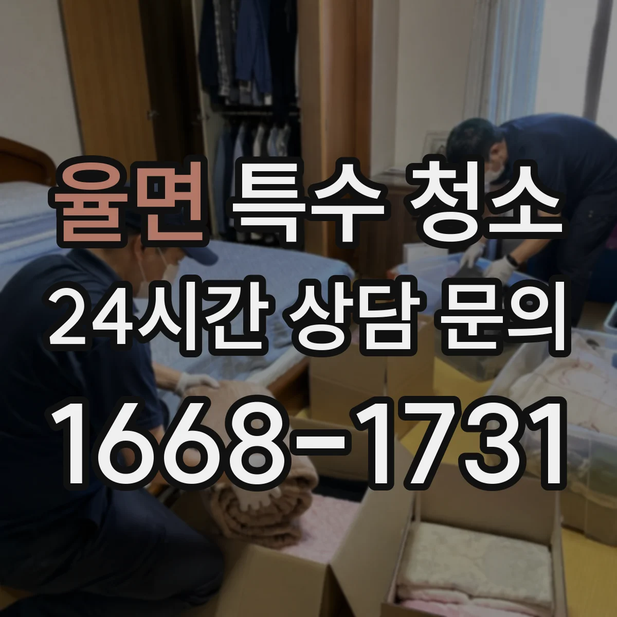 율면 특수 청소