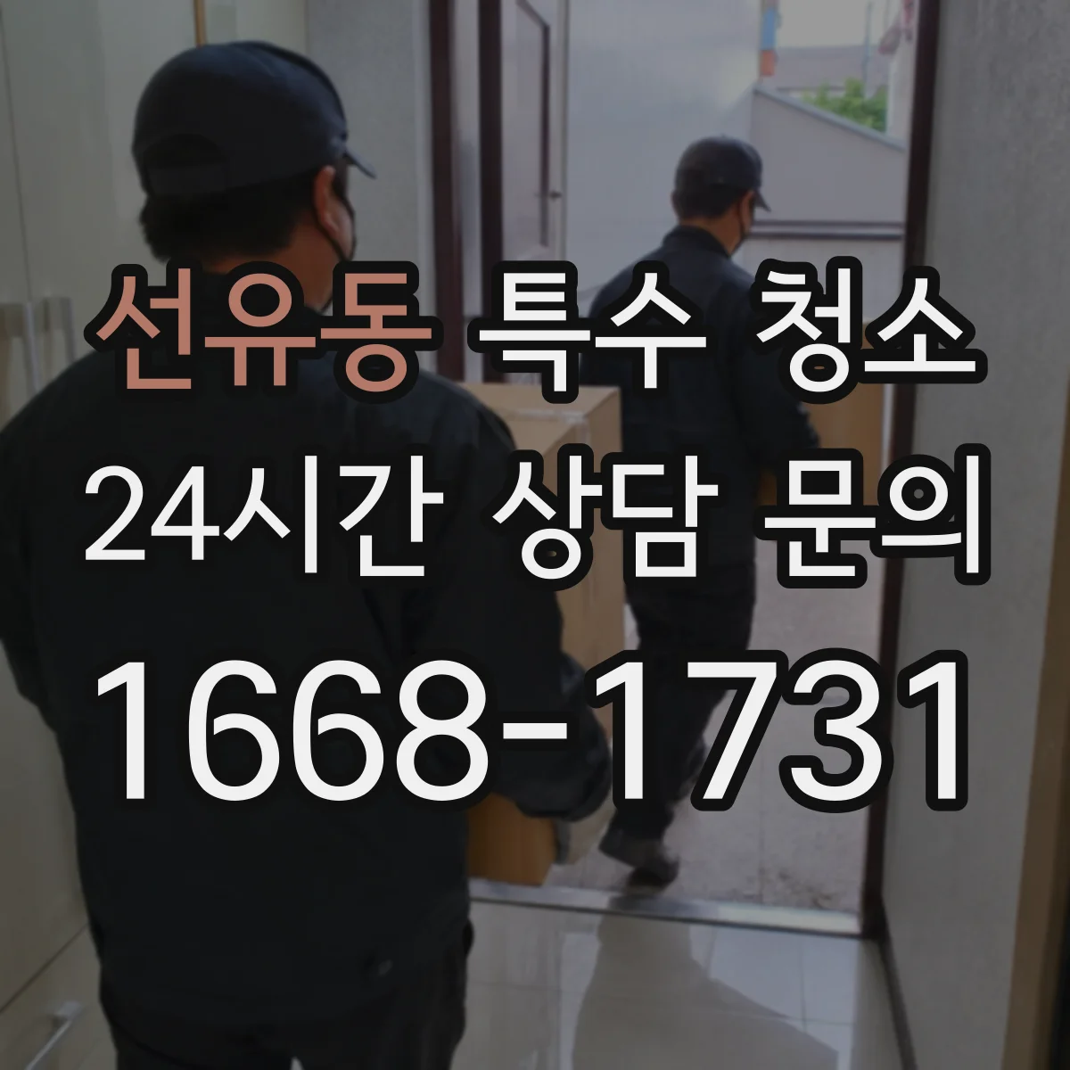 선유동 특수 청소