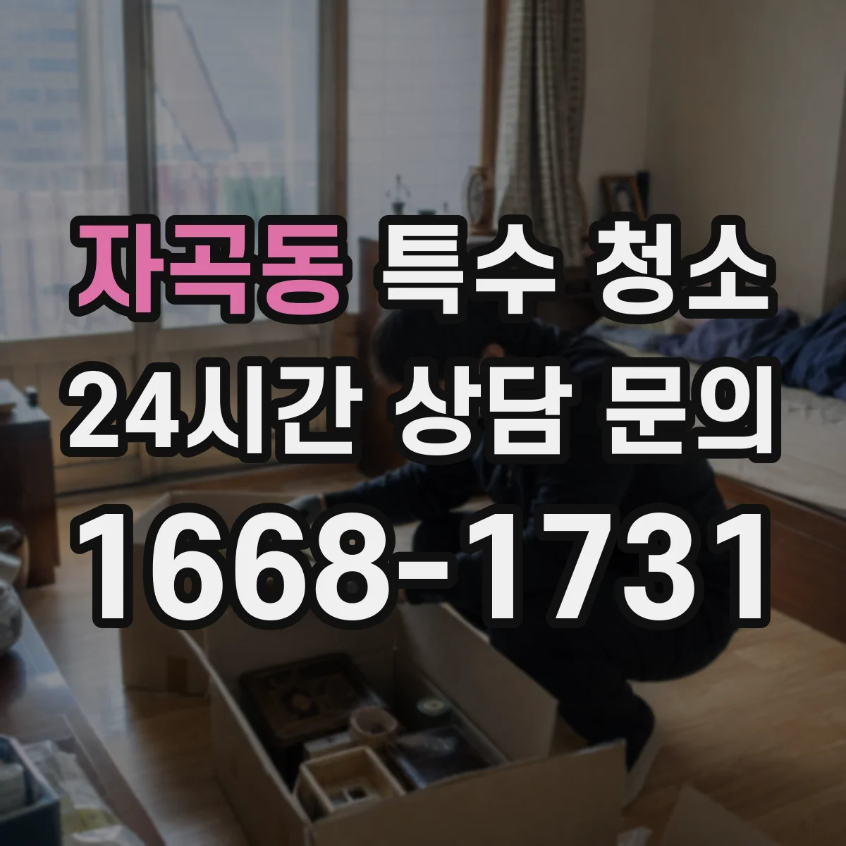 자곡동 특수 청소
