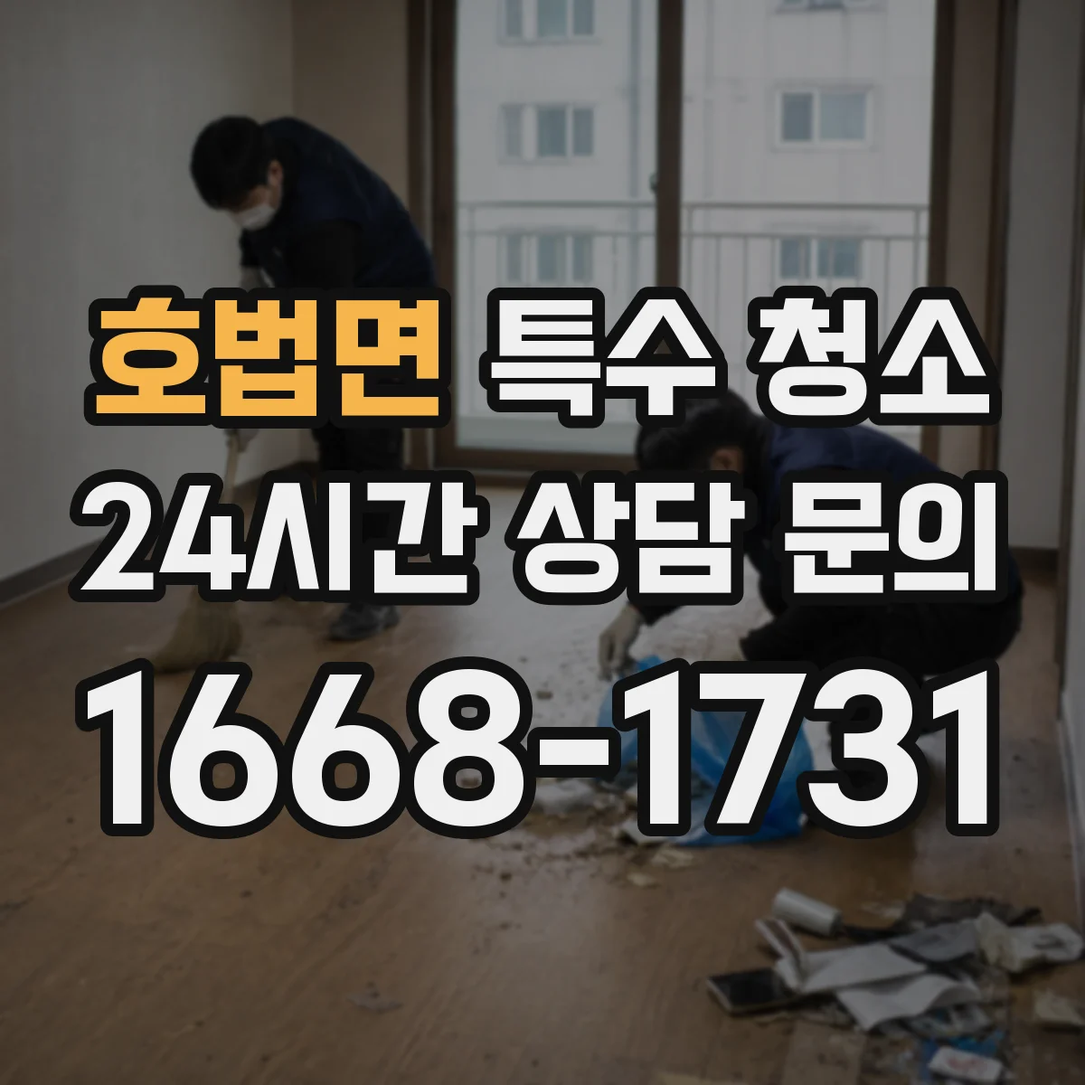 호법면 특수 청소