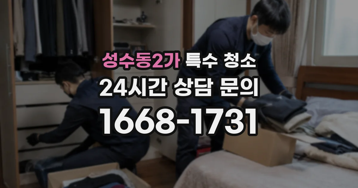 성수동2가 특수 청소