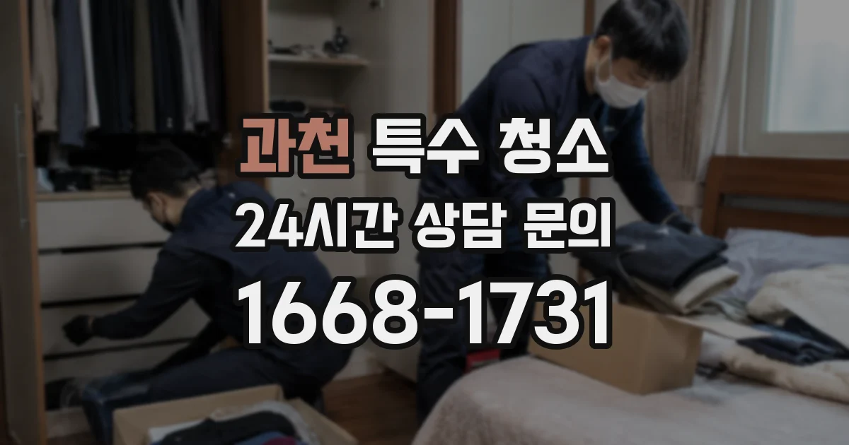 과천 특수 청소